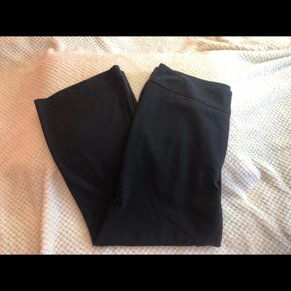 Roz & Ali Black Pull On Pant Size 16